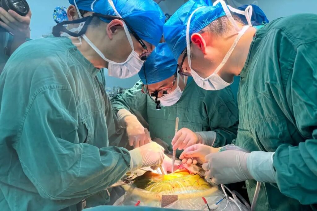 best Organ Transplant in Nairobi