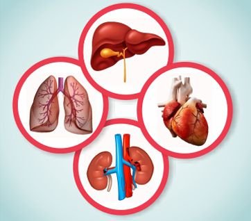 best Organ Transplant in Nairobi